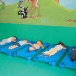 Set 5 Camas Guardería 132X58X12