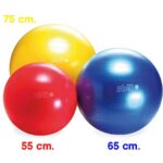 Balón Gymnic Classic Plus