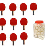 Pala Tenis Mesa P100. Lote con Pelotas