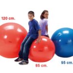 Balón Physio Gymnic
