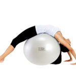 Balón Gymnic Fit-Ball