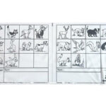 Set 50 Tarjetas Control Orientación Animales