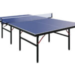 Mesa Interior Ping Pong Tabernas