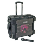 Equipo Sonoro Ibiza WPort MK 10" 300 W